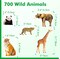 700PCS Wild Animal Stickers Pack – Realistic Zoo Animal Stickers for Kids, Classroom Rewards, Water Bottles, Laptops, Scrapbooks & Educational Learning Activities
